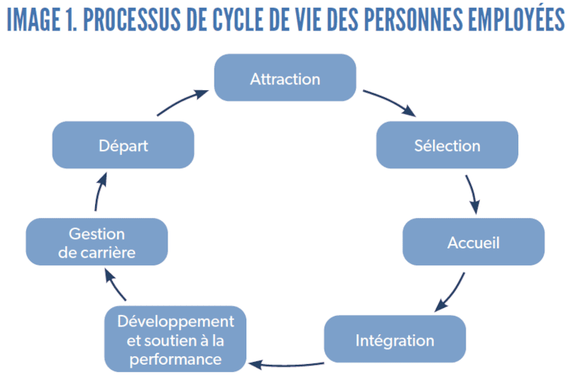 Image 1 : Processus de cycle de vie des personnes employées