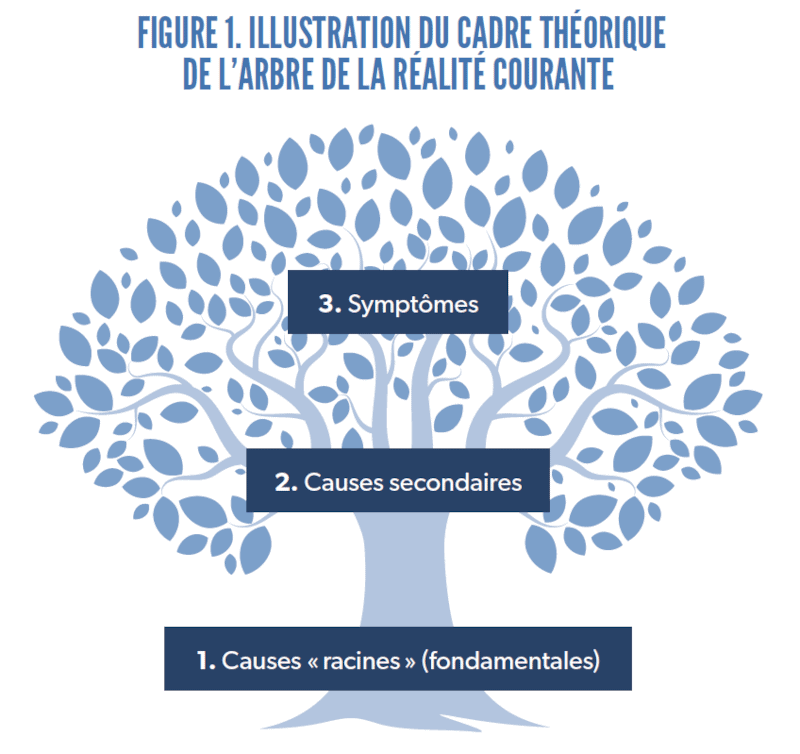 Figure 1 : Arbre des causes, adapté de Cadieux et al. (2022), p.355