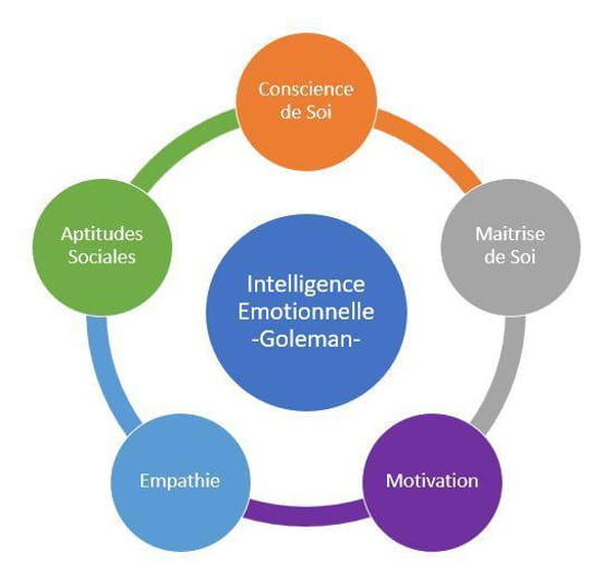 L Intelligence Emotionnelle La Competence Manageriale Du Futur