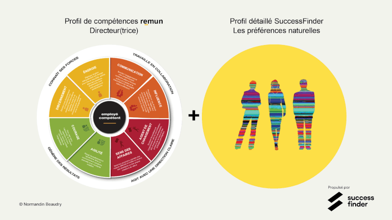 Profil de compétences
