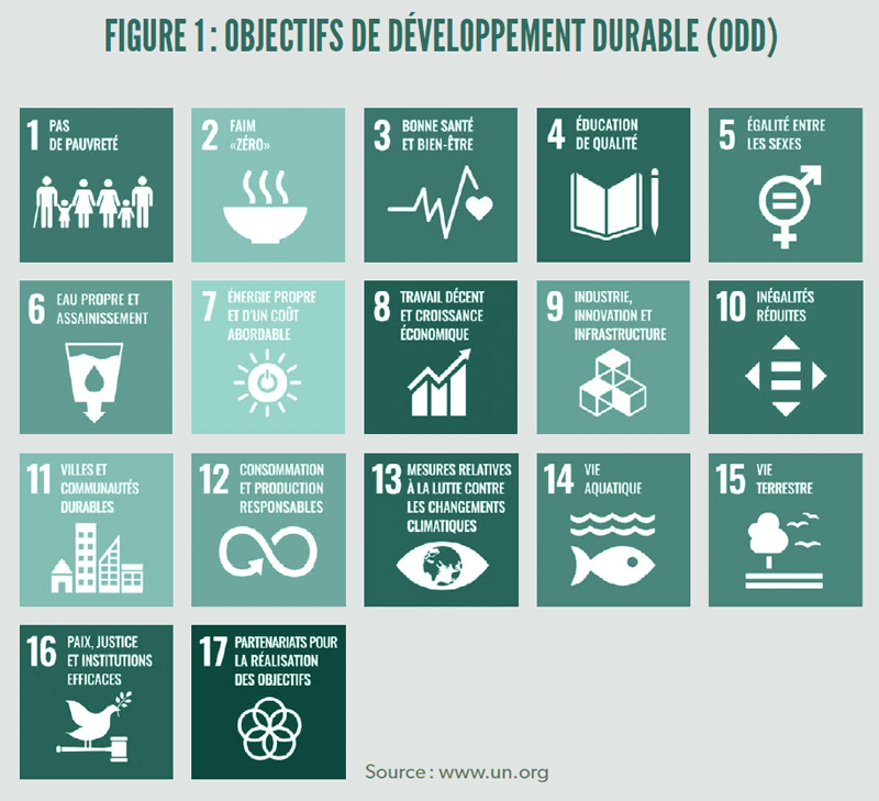 Figure 1 : objectifs de développement durable (ODD)