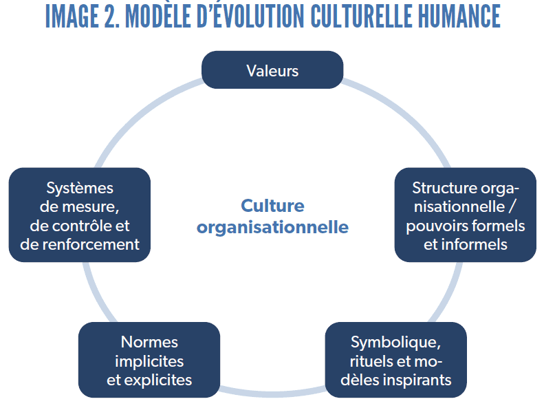 Image 2 : Modèle d’évolution culturelle Humance