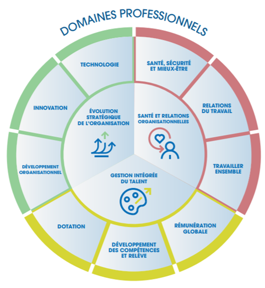 roue-domaines-professionnels.png