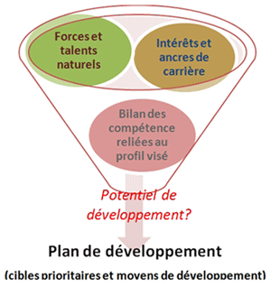 Potentiel de développement
